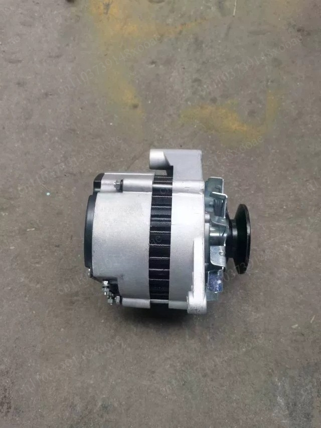 Alternatore Brushless 12V 24V  - Agriculture Farming Vehicles recensione e prezzo